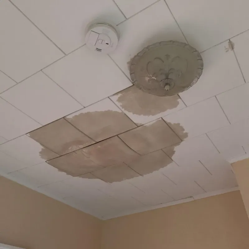 Ceiling Water Damage Repair in McKees Rocks, PA