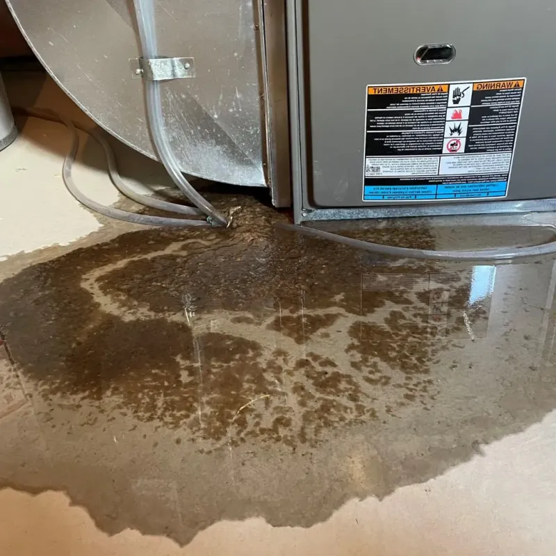 Pipe Burst and Leak Restoration in McKees Rocks, PA