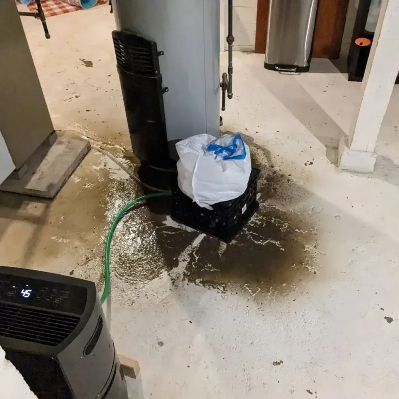 Sewage Backup Cleanup Service in McKees Rocks, PA